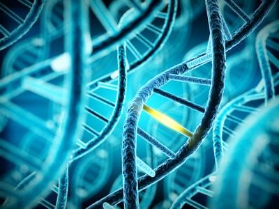 Come funziona la crescita muscolare? Un viaggio nel mondo del muscolo.