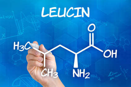 Leucina, il turbo per la crescita muscolare?