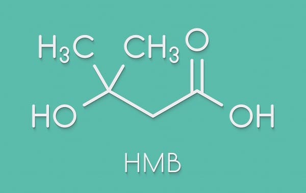 HMB – L'effetto sulla crescita muscolare e sulla riduzione del grasso