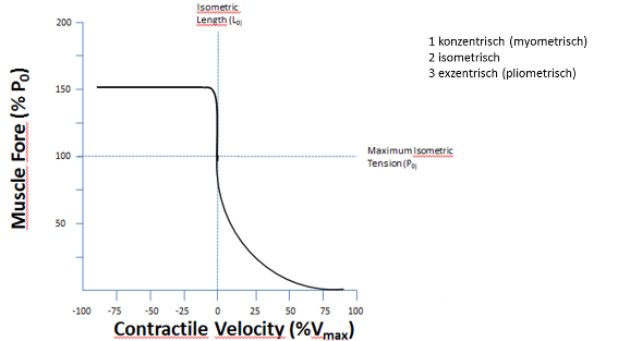 La relazione tra forza e velocità