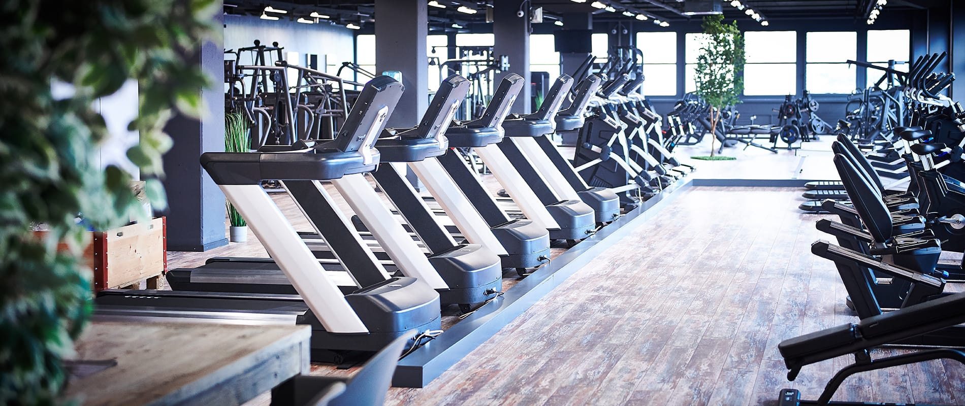 update Fitness Muttenz Bistro