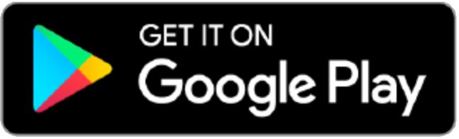 Play Store logo
