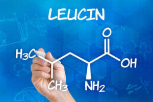 Leucin