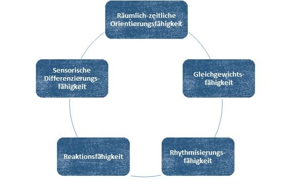 Kar Modell Nach Neumaier Koordinative Fähigkeiten - die 5 Fähigkeiten einfach erklärt.