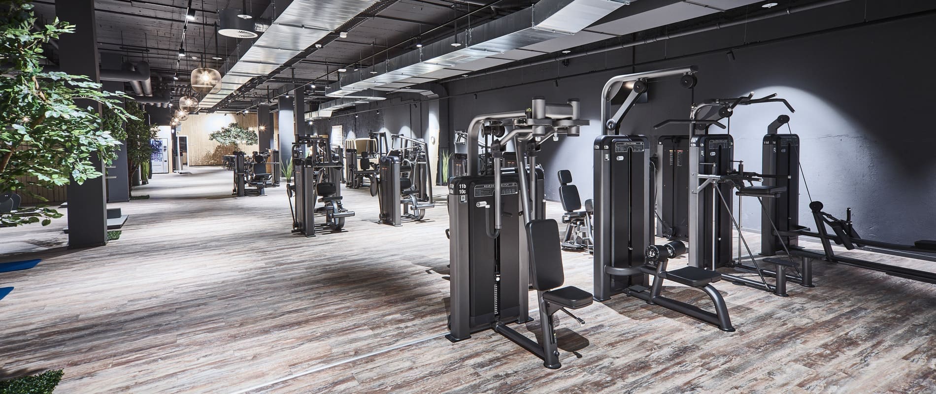 update Fitness Bern Marktgasse / Bereich: Kraft