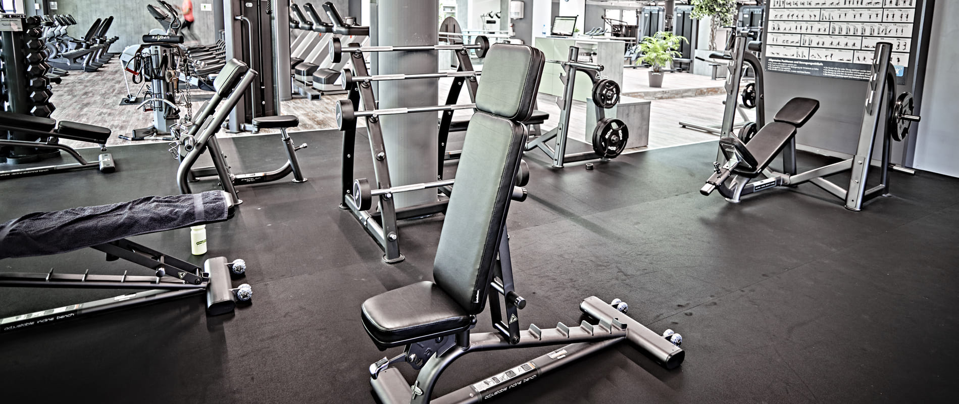 update Fitness St. Gallen Central / Bereich: Freihanteltraining