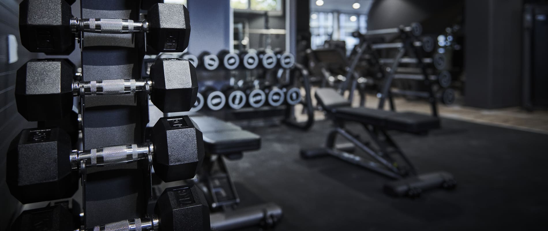 update Fitness Basel Dreispitz / Domaine : Haltères libres